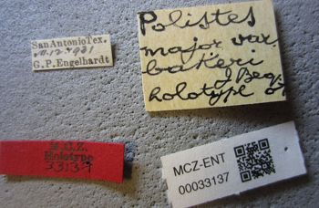 Media type: image;   Entomology 33137 Aspect: labels